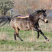 Equi-Tape® was built for horse's natural life style. It's able to move with your horse, without interfering with their full range of movement.  