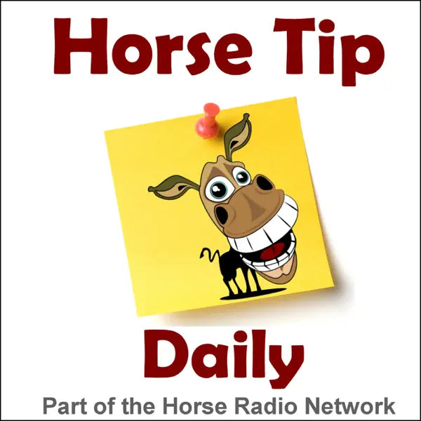 1617: Kinesiology Taping for Horses, by RideTV - Horse Tip Daily