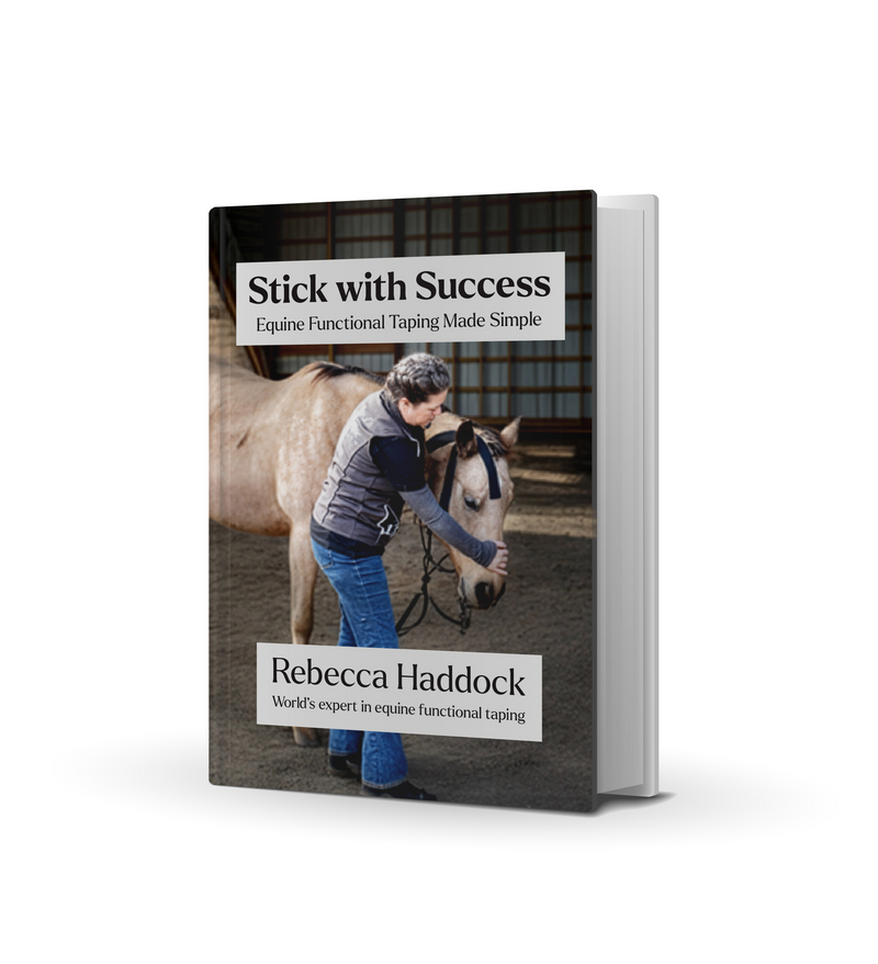 Complete Education + Essential Books Bundle