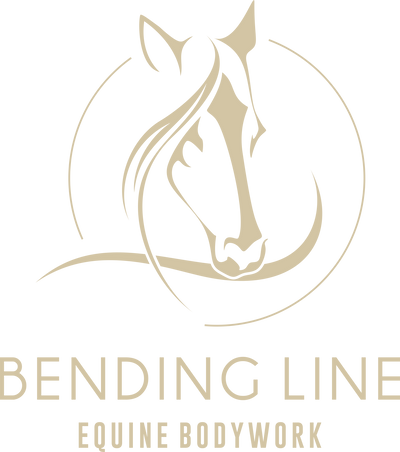 Bending Line Equine Bodywork