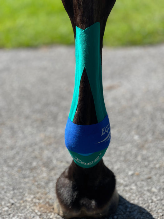 Equi-Tape application for equine suspensory support. Use this application to prevent injuries, help horses heal faster from suspensory ligament/deep digital tendon/superficial digital flexor tendon injuries. 