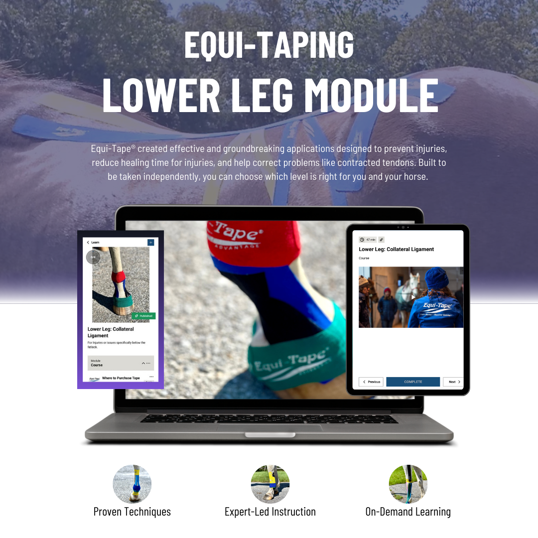 Equi-Tape®'s Lower Leg Module - Designed to teach you how to use equine kinesiology tape for all lower leg injuries, issues, preventative, and more. Covered in this module are: suspensory injuries, DDFT/SDFT injuries, collateral ligament injuries, contracted tendons, and more. Equi-Tape is safe for you and your horse with no negative side effects, no active ingredients, and proven to work. 