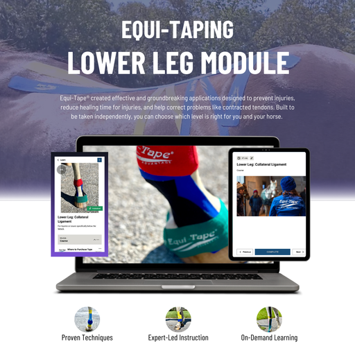 Equi-Tape®'s Lower Leg Module - Designed to teach you how to use equine kinesiology tape for all lower leg injuries, issues, preventative, and more. Covered in this module are: suspensory injuries, DDFT/SDFT injuries, collateral ligament injuries, contracted tendons, and more. Equi-Tape is safe for you and your horse with no negative side effects, no active ingredients, and proven to work. 