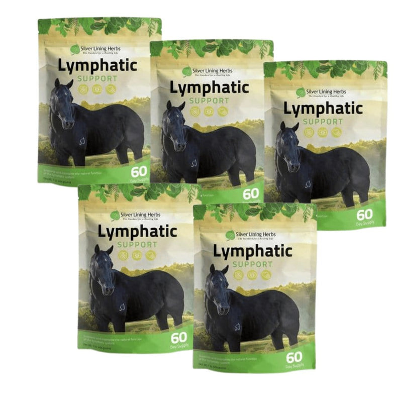 Lymphatic Support for Horses