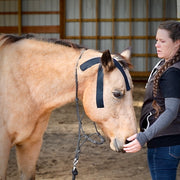 Rebecca Haddock teaching OIO Biomechanics poll and TMJ stabilization and force reduction. 