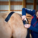Dr. Pattie Seabach at the OIO Biomechanics Course taping for equine SI and hip stabilization. 