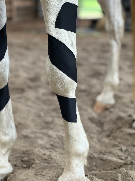 OIO Biomechanics application for equine carpus stabilization. 