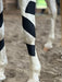 OIO Biomechanics application for equine carpus stabilization. 