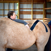 Rebecca Haddock teaching SI stabilization during the OIO Biomechanics Course. 