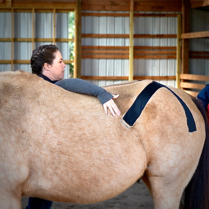Rebecca Haddock teaching SI stabilization during the OIO Biomechanics Course. 