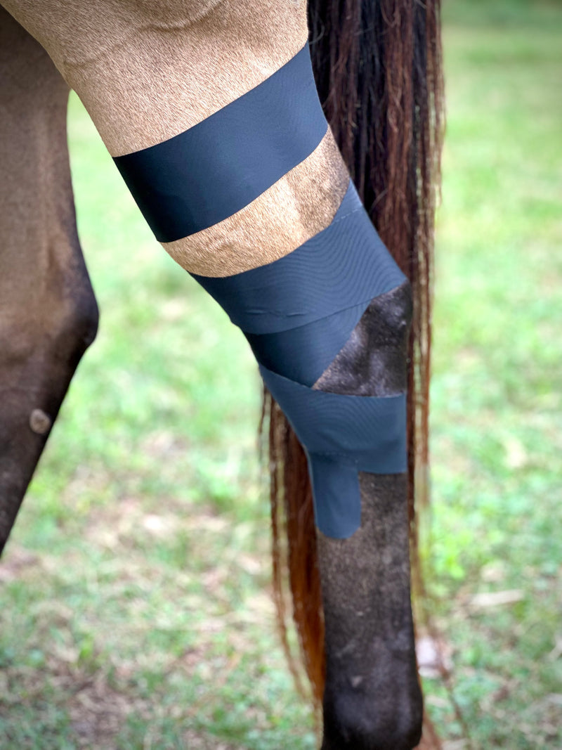 OIO Biomechanics Tape application for equine hock stability. Use when the hose's  hock has been injured.