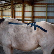 OIO Biomechanics application for equine lumbar stabilization and force reduction. 