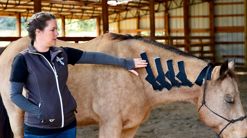 Rebecca Haddock teach at the OIO Biomechanics Course, showing C-spine stabilization. 