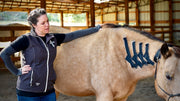 OIO Biomechanics Tape - Neck stabilization for C-spine injuries. Equine biomechanics taping. 