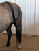 OIO Biomechanics application for equine stifle stabilization. 