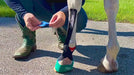 Rebecca Haddock, worlds expert in equine kinesiology taping, demonstrating how to apply tape to the equine's lower leg for collateral ligament injury. Use this application to help rehab horse's with collateral ligament injuries. 