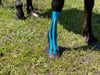 Equi-Tape application to support equine foot abscess healing