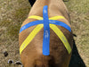 Equi-Tape® application for euine sacroiliac adjustment. Use this application before or after a chiropractic adjustment to help your horse hold the adjustment, remove deef inflammation, and re-train muscle memory. 
