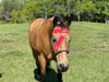 Equi-Tape application for equine clogged eye ducts