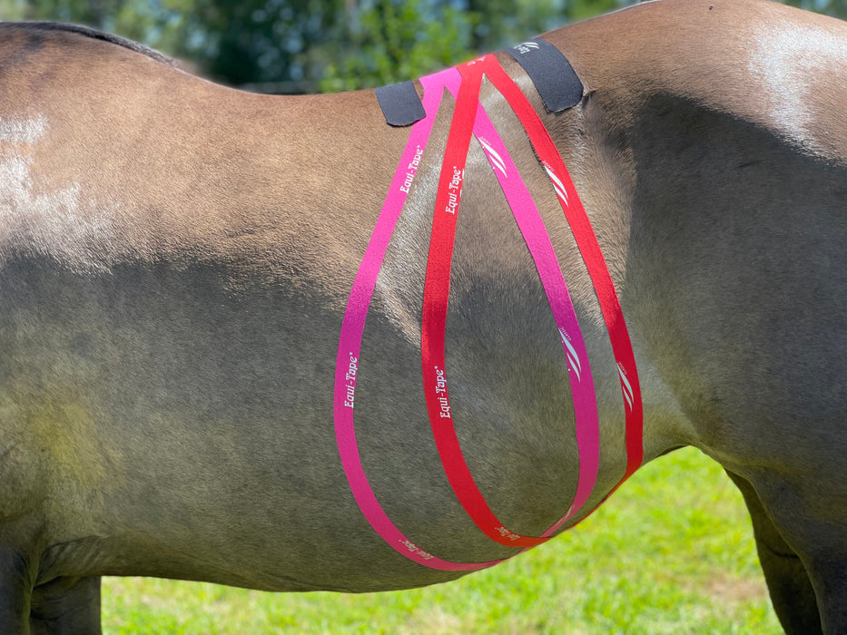 Equi-Tape® application for equine digestive support