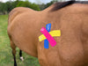 Equi-Tape application to boost equine immune system and reduce histamine response