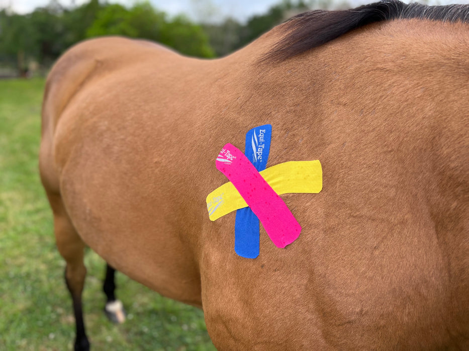 Equi-Tape application to boost equine immune system and reduce histamine response