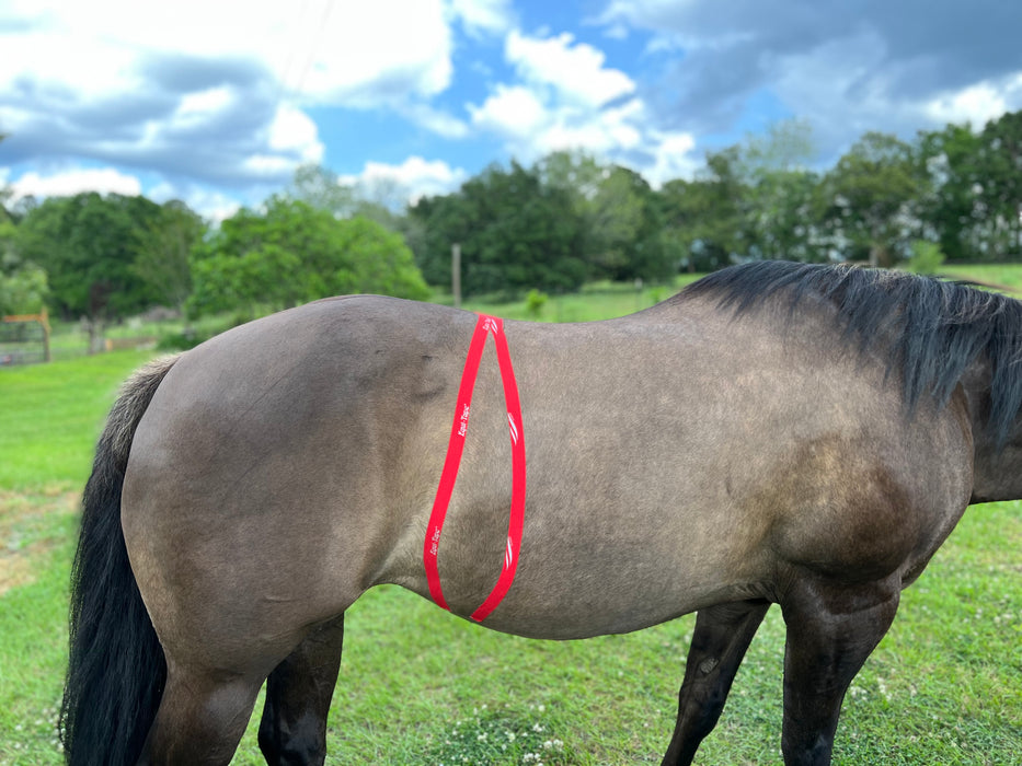 Equi-Tape application to reduce hormonal sensitivity for equine mares. 