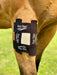 Equi-Taping® wound care application for injuries that create open wounds. 