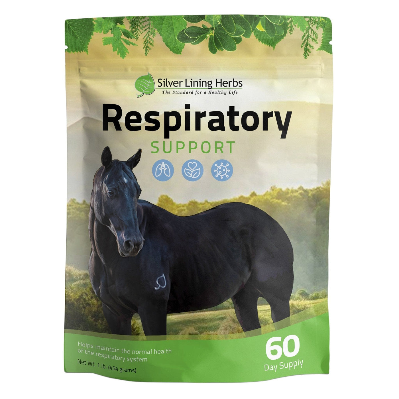 Respiratory Support for Horses — EquiTecs