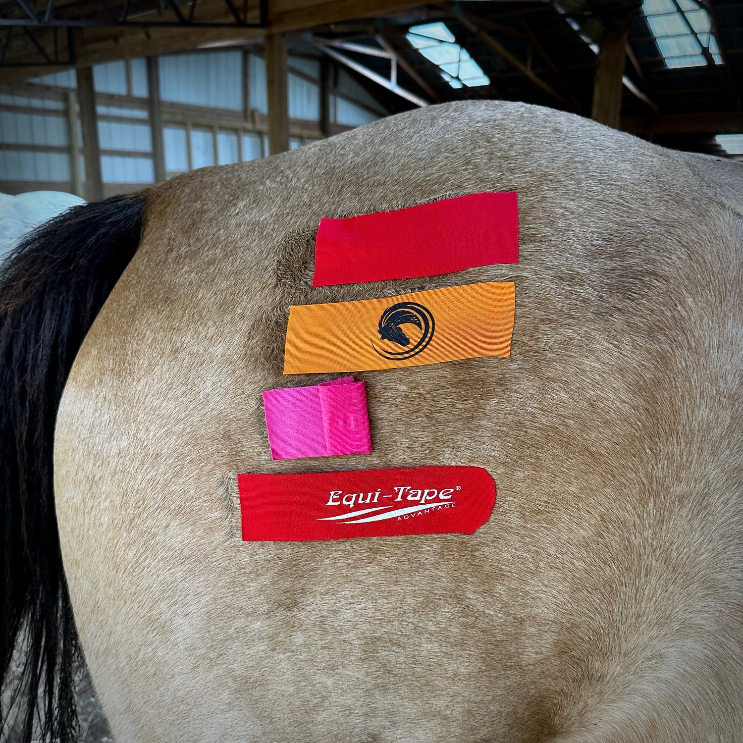 Equi-Tape competition test for stretch. 