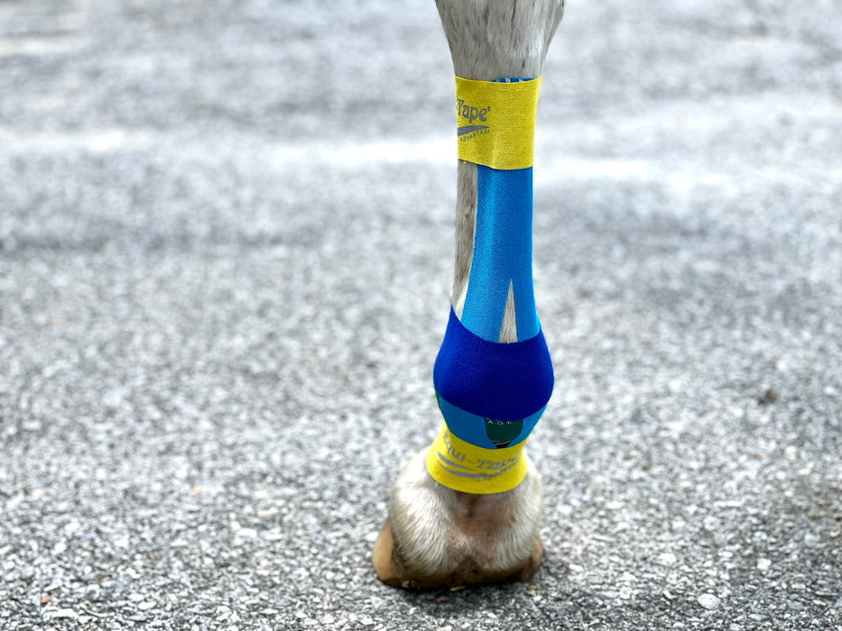 Equi-Tape®'s Lower Leg application for - Athletic Support: Everyday taping for injury prevention, support, and circulation during training.