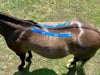 Equi-Tape® Back relaxation application. Safe to use on any horse, anyone can apply this application. Reduces discomfort, soreness, and tight muscles.