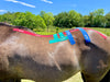 Equi-Tape® back application for full back support and stabilization. Use this application after back injuries in any muscle, rib heads, multifidus, longissimus, latissimus, spinus processes, good for T-spin and L-spine. 