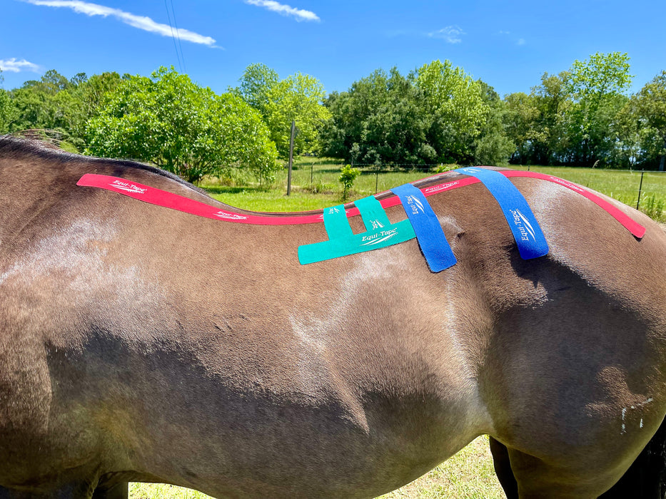 Equi-Tape® back application for full back support and stabilization. Use this application after back injuries in any muscle, rib heads, multifidus, longissimus, latissimus, spinus processes, good for T-spin and L-spine. 