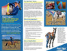 Equi-Tape® Brochure Page 2