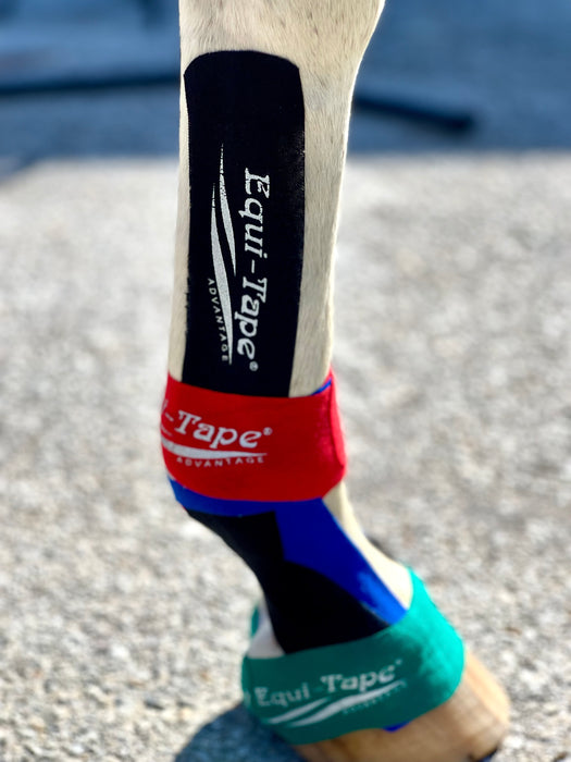 Equi-Tape® equine kinesiology taping application for - Collateral Ligament Support: Specialized taping for collateral ligament rehab—supports healing while allowing normal movement. 