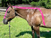 Equi-Tape application for head-neck to core connection. This application gently encourages the horse to stop avoiding the bit, not over bend and activate their shoulders for a lighter and more mobile front end. This application reduces the need for more aggressive bits and encourages a more soft and supple body. 