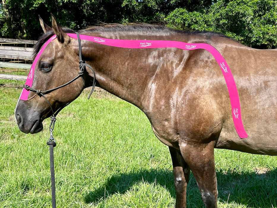Equi-Tape application for head-neck to core connection. This application gently encourages the horse to stop avoiding the bit, not over bend and activate their shoulders for a lighter and more mobile front end. This application reduces the need for more aggressive bits and encourages a more soft and supple body. 