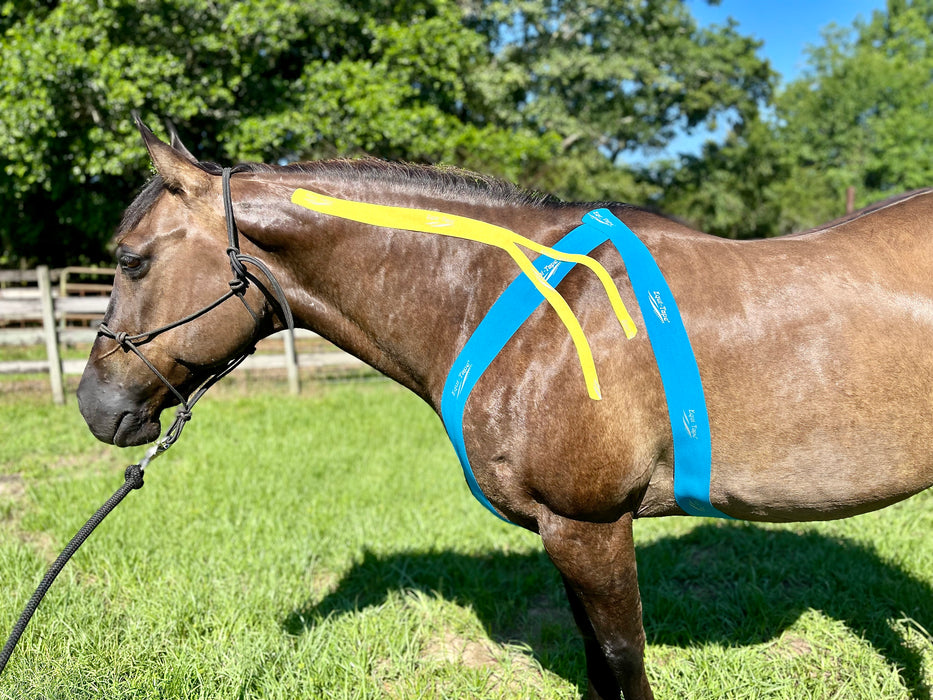 Equi-Tape® application for connecting the thoracic sling to the primary neck muscles. Use this application to encourage thoracic sling engagement, encourage a soft and supple body, and encourage upward movement. 