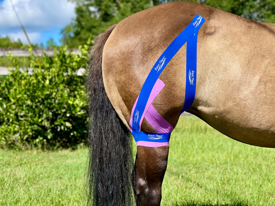 Equi-Tape® application for Stifle support. Use this application for medial patella injuries or weakness. Equine kinesiology taping. 