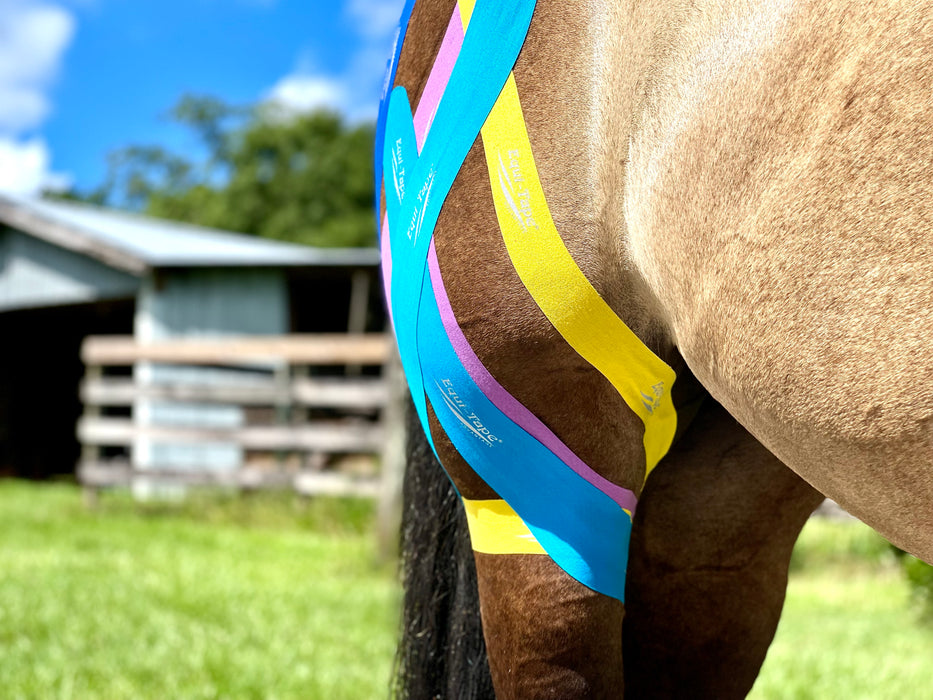 Equi-Tape® application for advanced stifle support. Use this application for horses with stifle injuries, particularly medial, middle, and lateral patella injuries or weaknesses. 