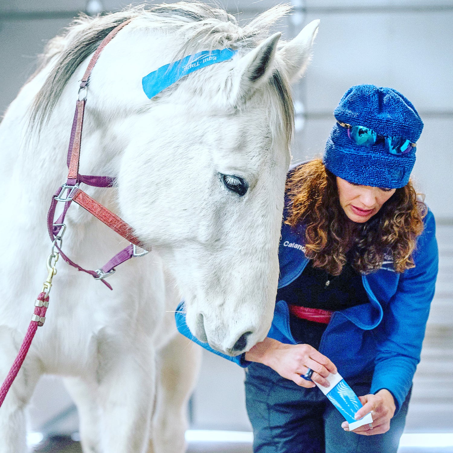 Equi-Tape® practitioner applying the poll application to a very thankful horse. 