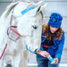 Equi-Tape® practitioner applying the poll application to a very thankful horse. 