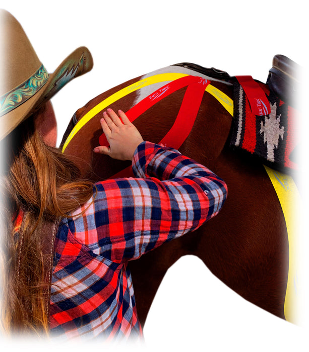 Equi-Tape® Application for hind-end activation. Use this application to activate your horse's hind-end for better engagement, more speed, better in and out of jumps, and more. 