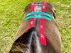 Equi-Tape® Back Module Level 3. This application is for horses with injure, or strained backs. Use this application to stabilize the back and reduce deep inflammation with reduces pain, allowing the back to heal faster. 