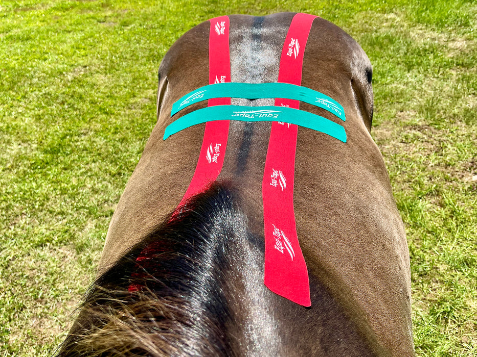 Equi-Tape® Back Module Level 3. This application is for horses with injure, or strained backs. Use this application to stabilize the back and reduce deep inflammation with reduces pain, allowing the back to heal faster. 
