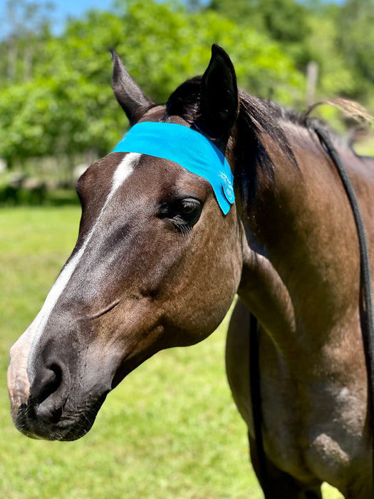 Equi-Tape® application to encourage a more grounded less spooky horse. Utilizes neuro pathway and acupressure points to help the horse relax and focus on you instead of the world around them. 
